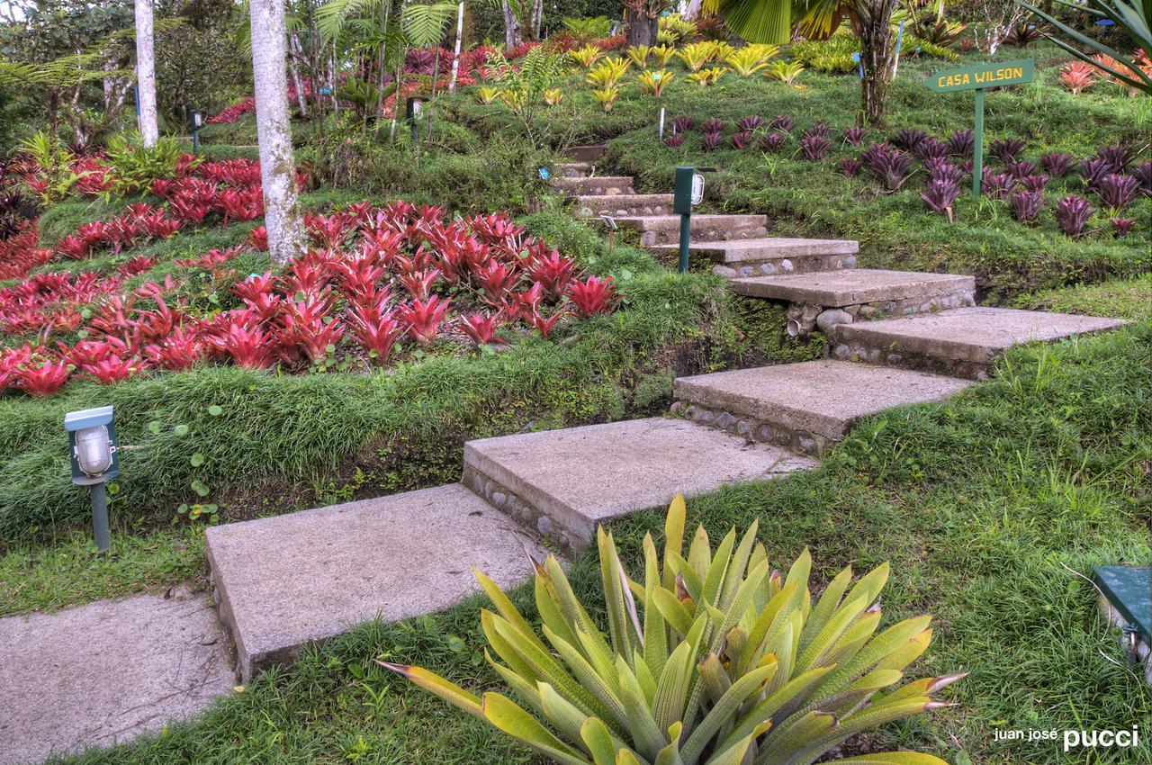 Estacion Biologica Las Cruces Y Jardin Botanico Wilson San Vito Kültér fotó