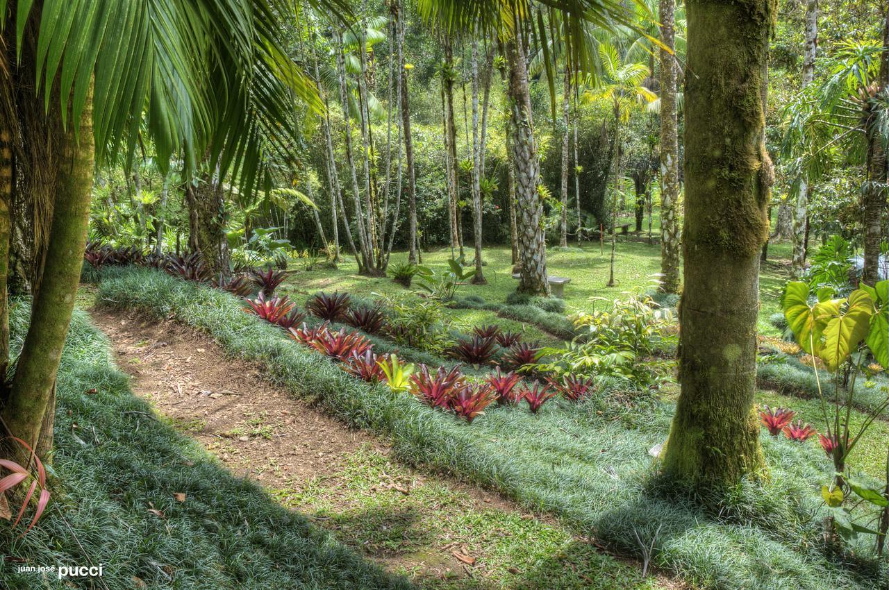 Estacion Biologica Las Cruces Y Jardin Botanico Wilson San Vito Kültér fotó