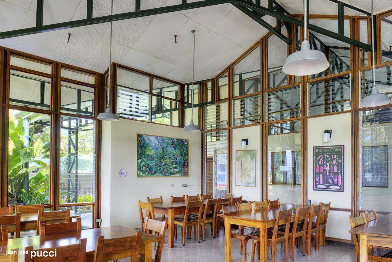 Estacion Biologica Las Cruces Y Jardin Botanico Wilson San Vito Kültér fotó