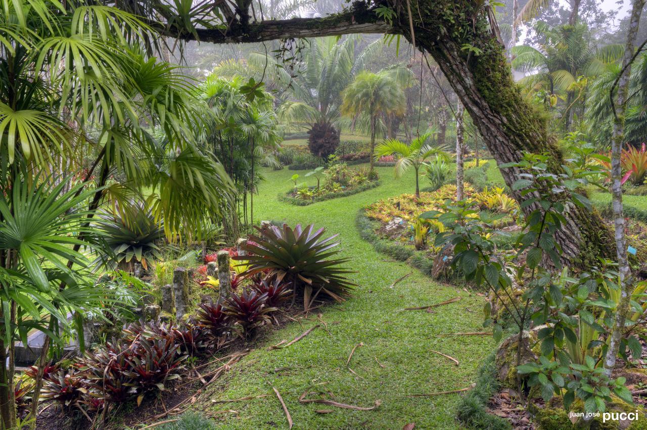 Estacion Biologica Las Cruces Y Jardin Botanico Wilson San Vito Kültér fotó