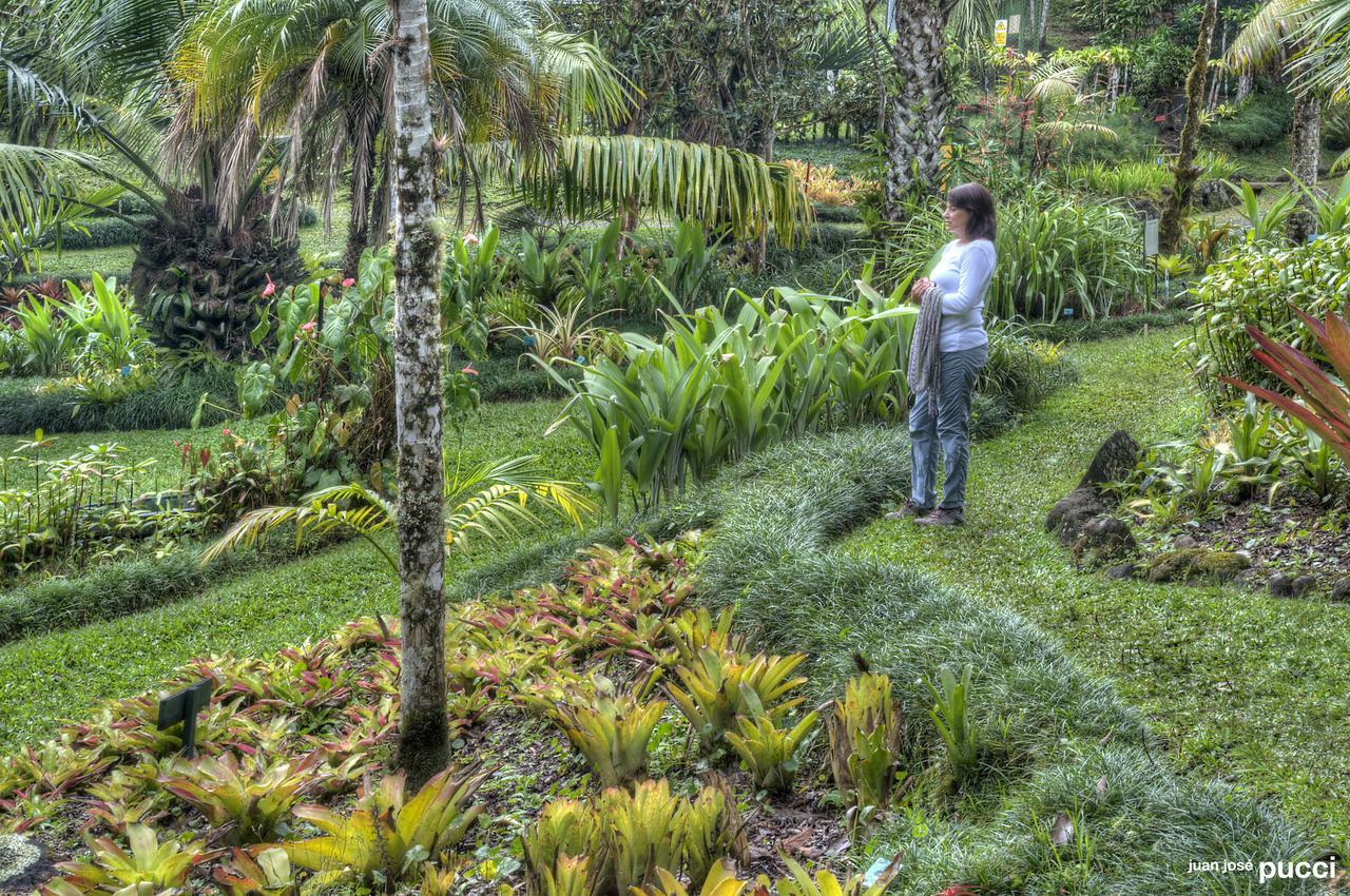 Estacion Biologica Las Cruces Y Jardin Botanico Wilson San Vito Kültér fotó