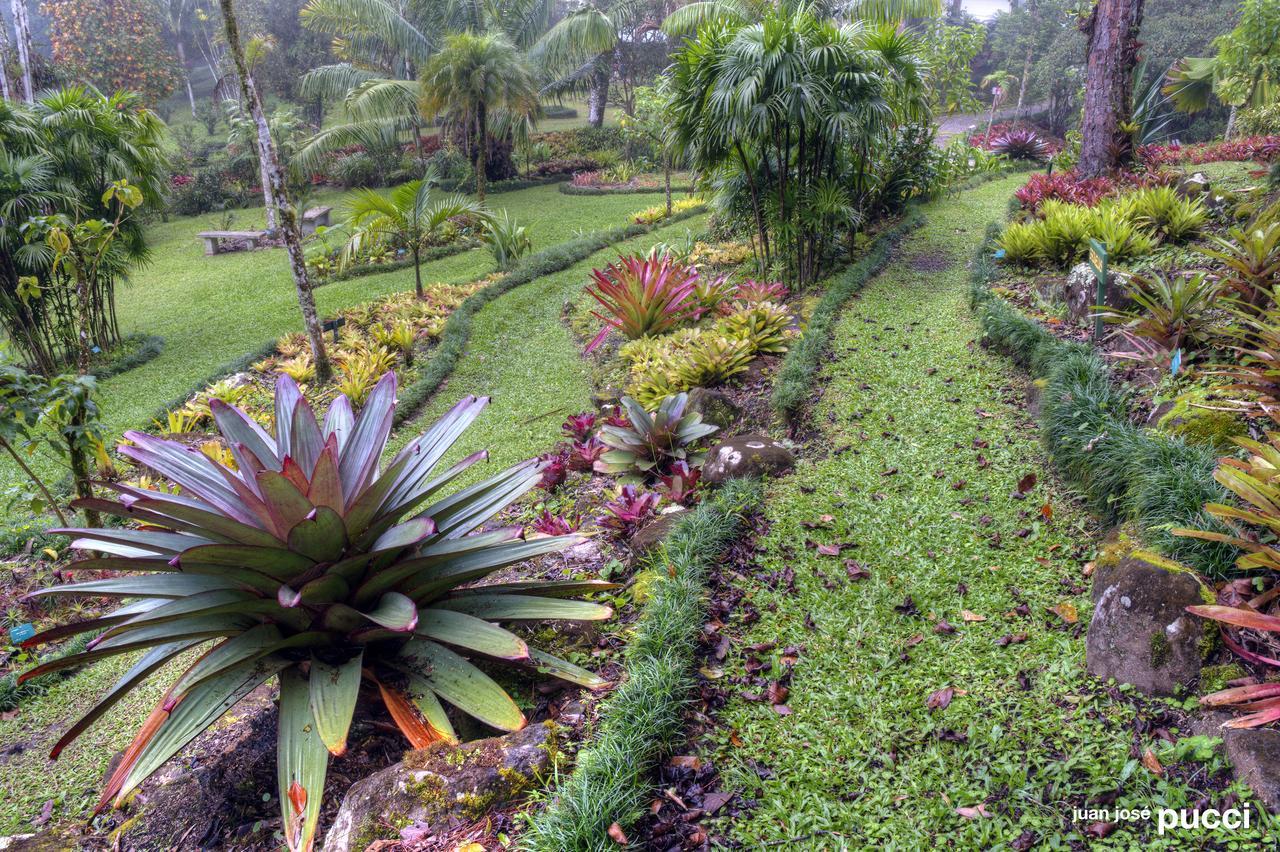 Estacion Biologica Las Cruces Y Jardin Botanico Wilson San Vito Kültér fotó